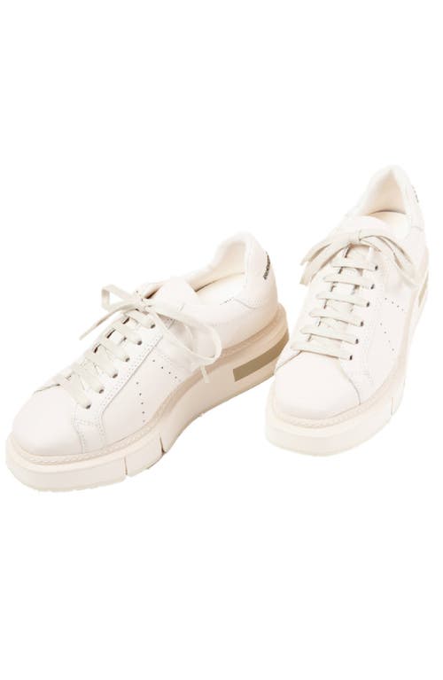 Shop Paloma Barceló Paloma Barcelo Agen Sneaker In White/gesso-salvia