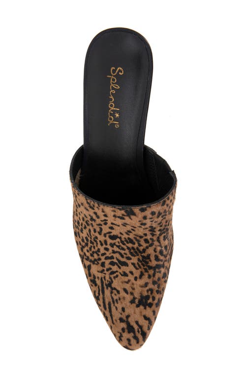 Shop Splendid Lorelei Pointed Toe Mule In Cheetah