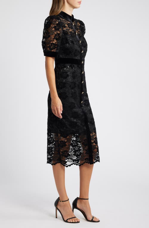 TAHARI ASL TAHARI ASL METALLIC LACE & VELVET MIDI SHIRTDRESS 