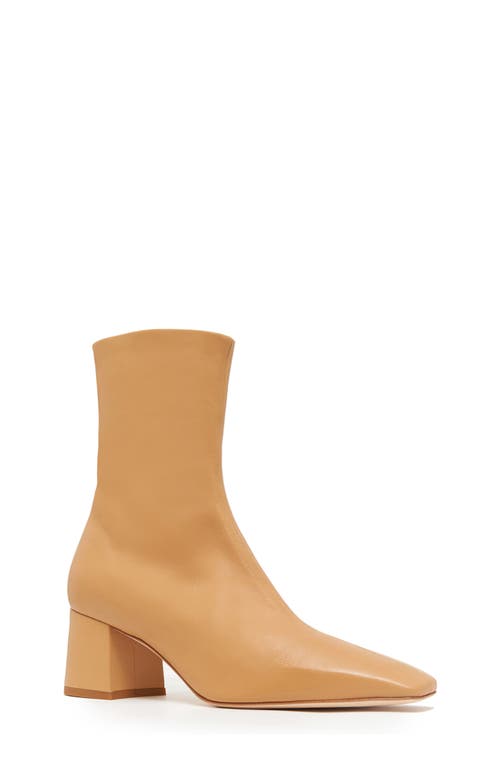 Shop Daniella Shevel Milani Boot In Brown