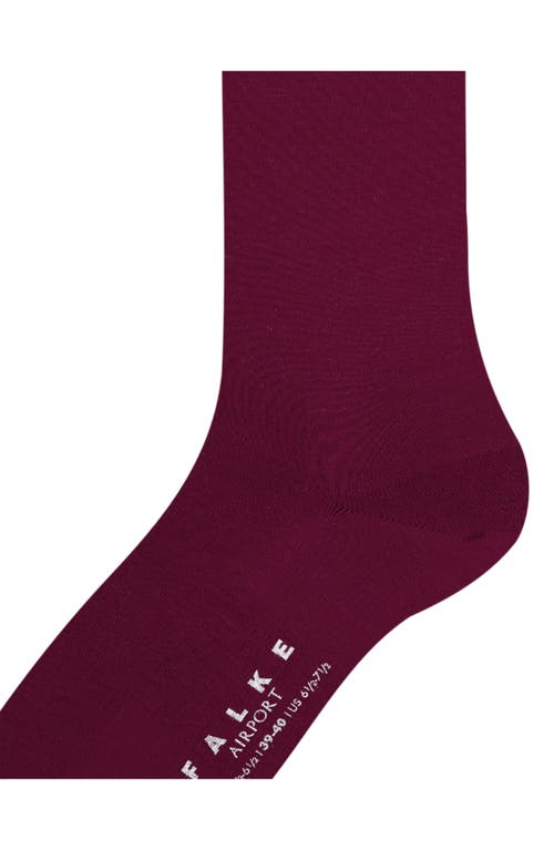 Shop Falke Airport Knee High Socks In Barolo