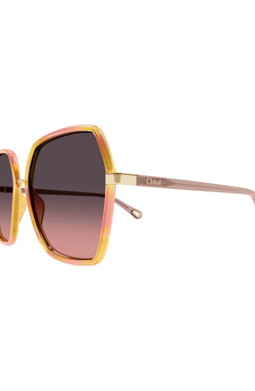 Chloé Oversize-frame Sunglasses In Dark Havana