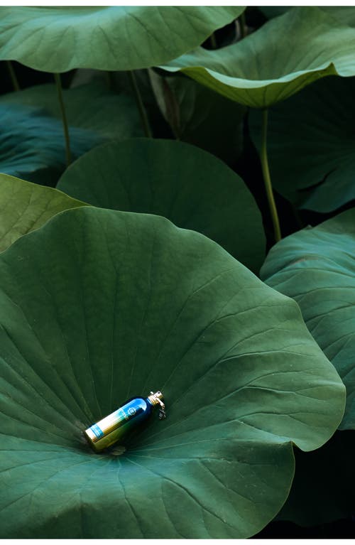MONTALE PARIS MONTALE PARIS HERBAL AQUATICA EAU DE PARFUM
