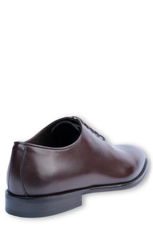 Vellapais Pile Oxford In Dark Brown