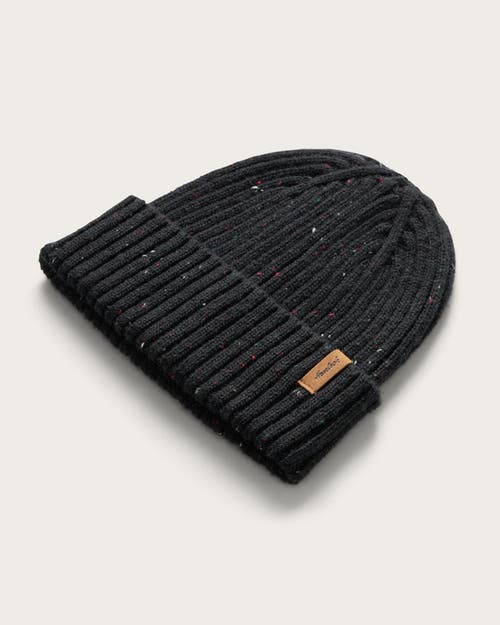 Hemlock Hawthorne Baby Beanie In Black