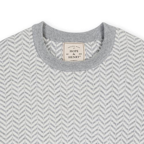 Hope & Henry Organic Intarsia Crew Neck Sweater In Light Gray Herringbone