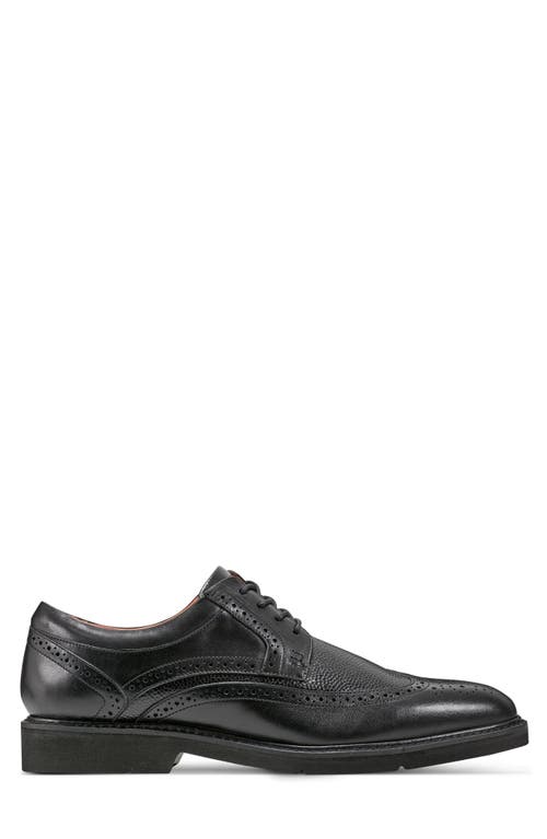 Rockport Fallo Wingtip Derby In Black