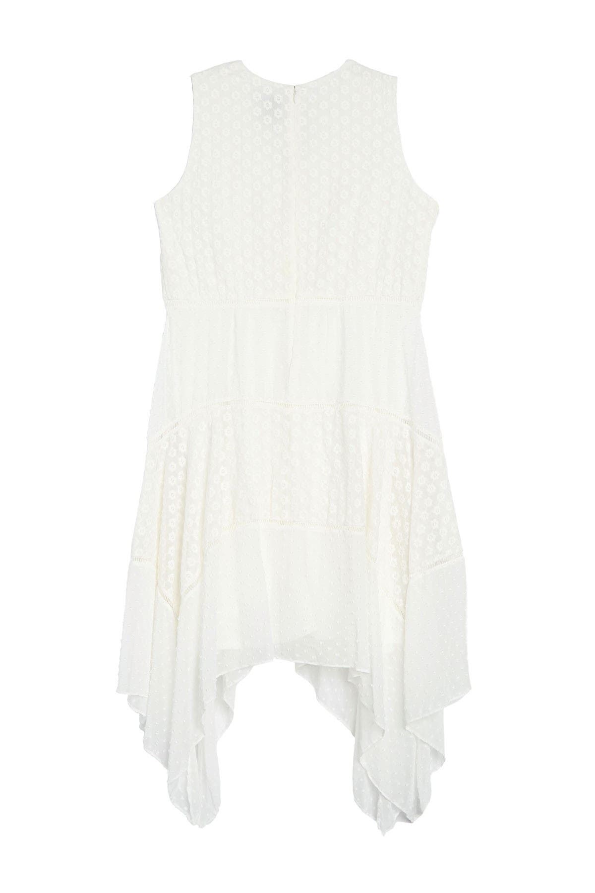 Taylor Sleeveless Embroidered Chiffon Dress In Open White