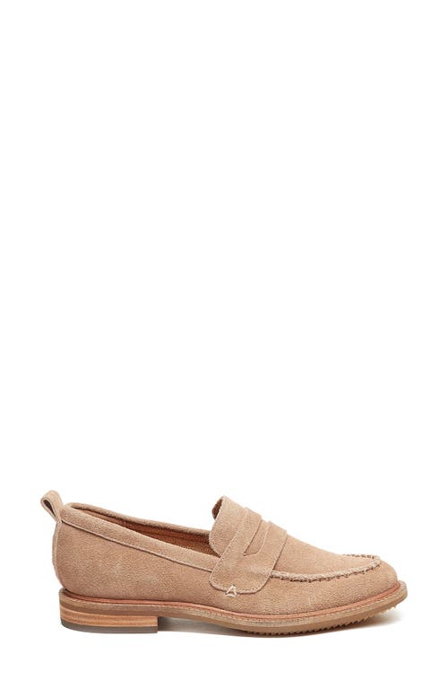 Shop Ruby & Bloom Lens Penny Loafer In Almond Wide