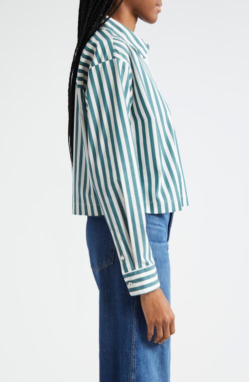 Shop Veronica Beard Maia Stripe Crop Button-up Shirt In Pine/white