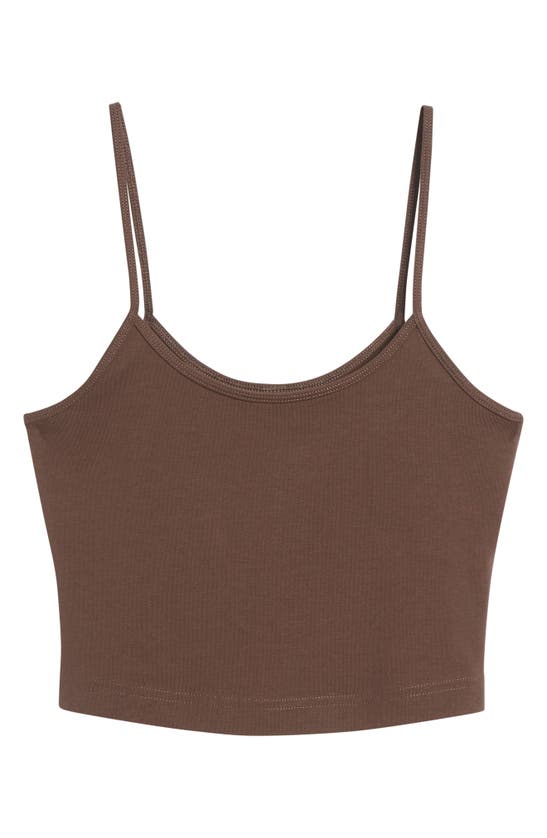 Bp. Knit Organic Cotton Crop Camisole In Brown Coffee