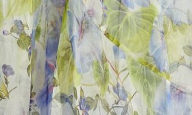 Shop Zimmermann Natura Floral Semisheer Long Sleeve Silk Dress In Blue Floral