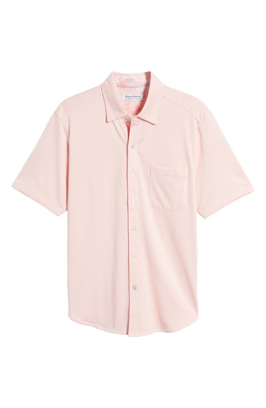 Shop Tommy Bahama San Lucio Islandzone® Short Sleeve Knit Button-up Shirt In Quartz Pink