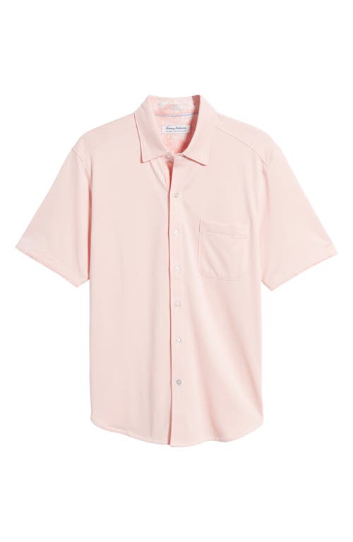 San Lucio IslandZone Short Sleeve Knit Button-Up Shirt in Quartz Pink