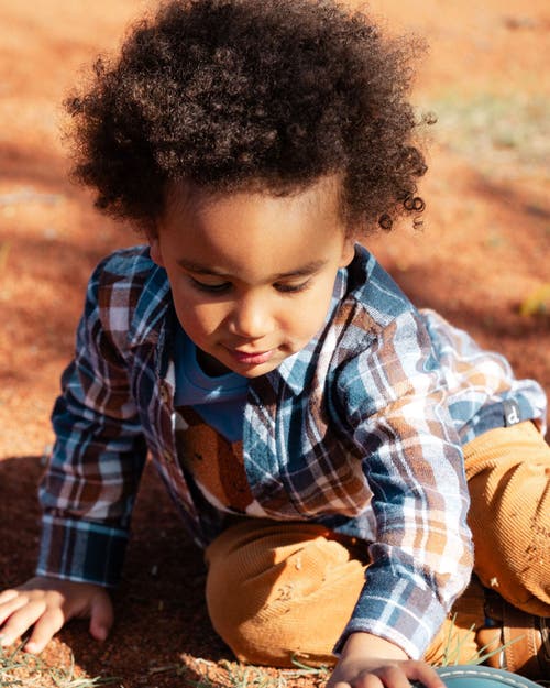 Shop Deux Par Deux Little Boy's Long Sleeve Button Down Shirt Plaid Blue And Hazel In Plaid Blue & Brown