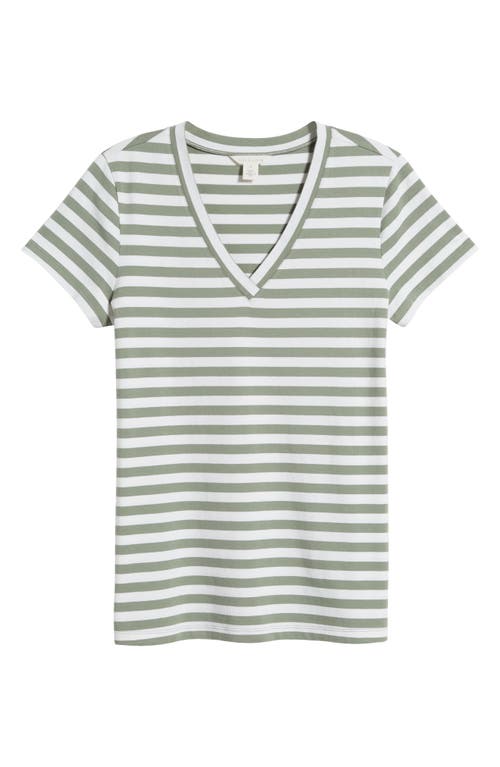 Shop Caslonr Caslon(r) Stretch Cotton Blend V-neck T-shirt In Green Dune- White Charm Stripe