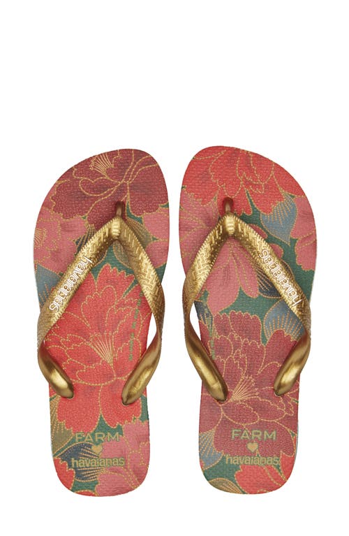 Shop Havaianas X Farm Rio Parrot Floral Flip Flop In Pantanal Green/red