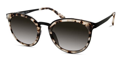 MODO MODO 453 SUNGLASSES