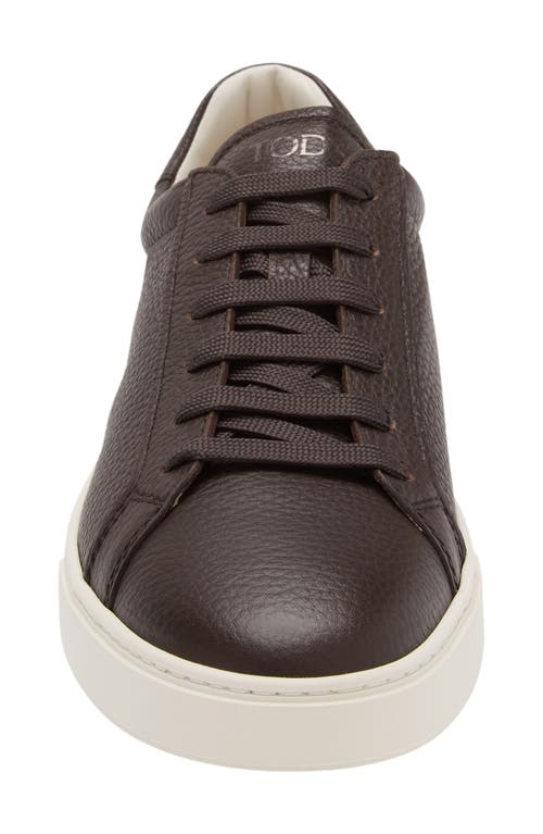 Tod's Men's Allacciata Cassetta 04l Lace Up Sneakers In Caffe