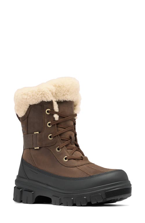 Shop Sorel Tivoli V Parc Genuine Shearling Waterproof Boot In Tobacco/black