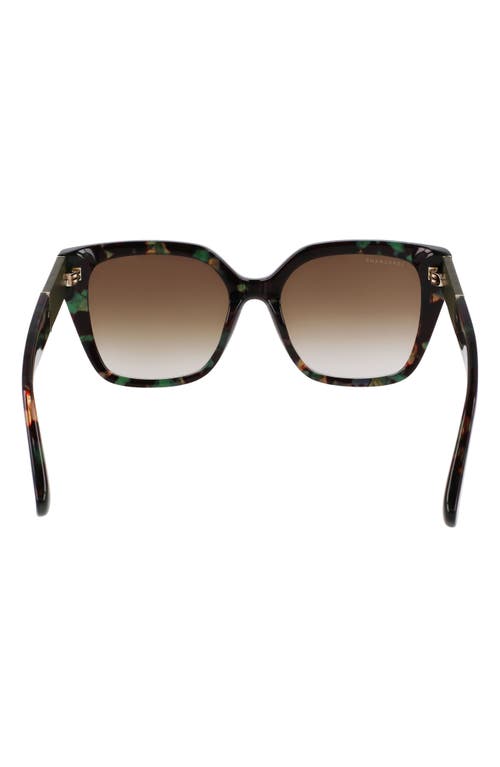 Shop Longchamp Roseau 54mm Butterfly Sunglasses In Green Havana