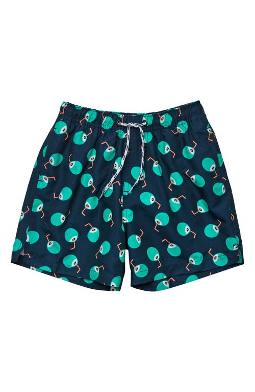 Snapper Rock Kids' Coco Loco Volley Board Shorts Navy at Nordstrom,