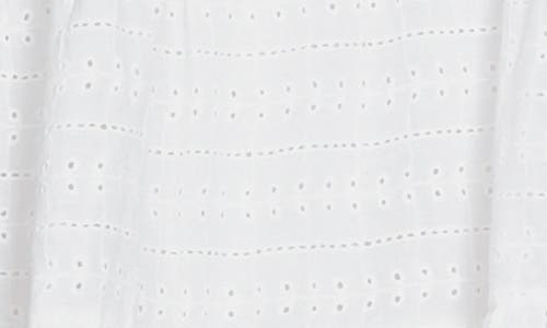 Standards & Practices Embroidered Sleeve Cotton Eyelet Dress In White