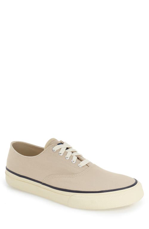 'Cloud CVO' Sneaker in Birch