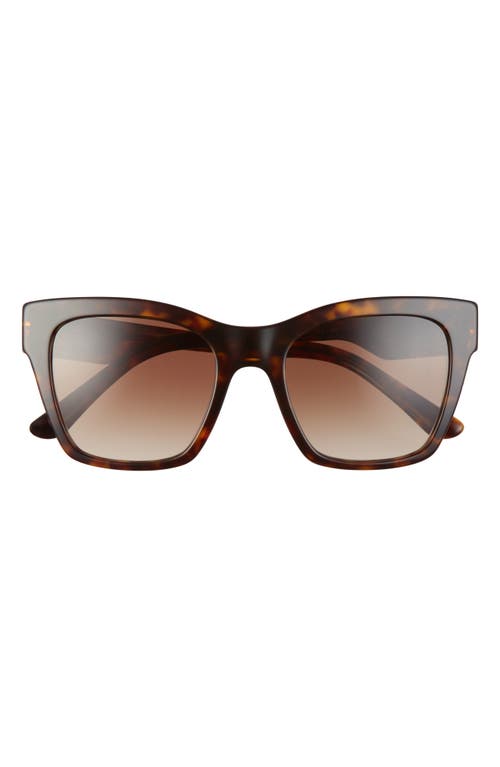 Dolce & Gabbana 53mm Gradient Cat Eye Sunglasses In Havana/brown Gradient