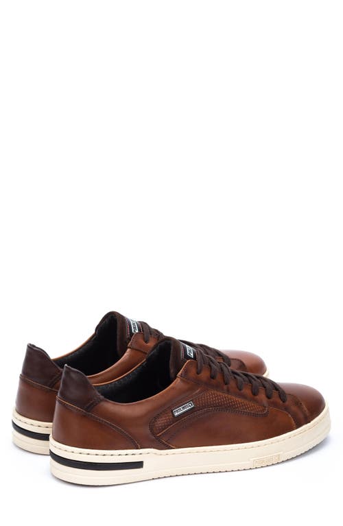 Pikolinos Xativa Basic Punched Sneaker In Cuero