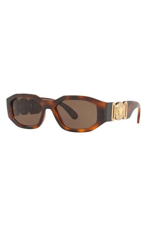 Shop Versace Biggie 53mm Round Sunglasses In Havana/brown Solid