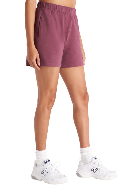 The Standard Stitch The Sweat Short In Plum
