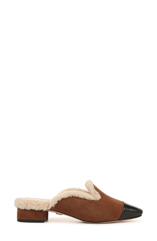 Veronica Beard Cecile Genuine Shearling Mule In Cedar/black
