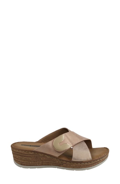 Good Choice New York Demi Platform Wedge Slide Sandal In Blush
