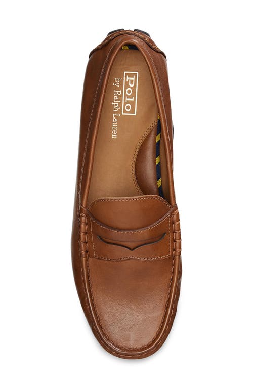 Shop Polo Ralph Lauren Anders Penny Driver Loafer In Cognac