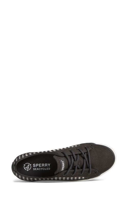 Shop Sperry Crest Vibe Pack 4 Sneaker In Black