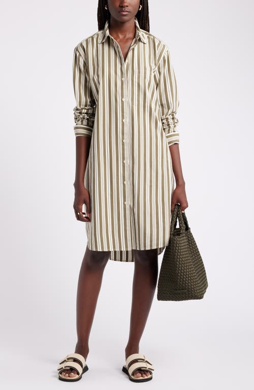 Shop Nordstrom Stripe Long Sleeve Cotton Shirtdress In Olive- Ivory Leon Stripe