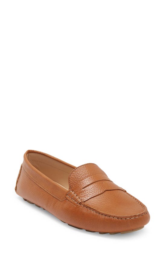 Driver Club Usa Union St. Penny Loafer In Tan Grainy