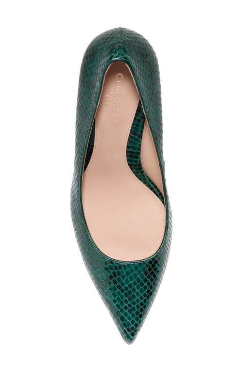 Shop Cole Haan Mckelya Pointed Toe Pump In Ponderose Croco