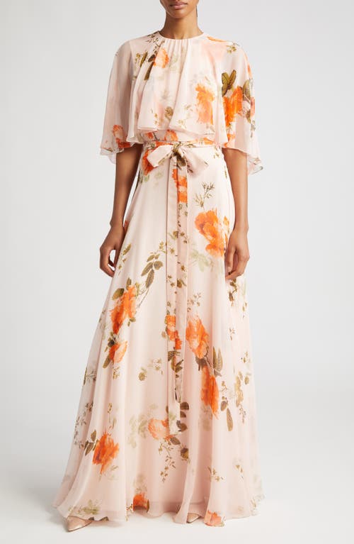 Erdem Floral Print Cape Sleeve Silk Chiffon Gown in Shell Pink at Nordstrom, Size 4 Us