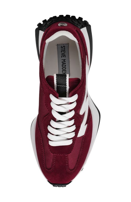 Shop Steve Madden Campo Sneaker In Wine