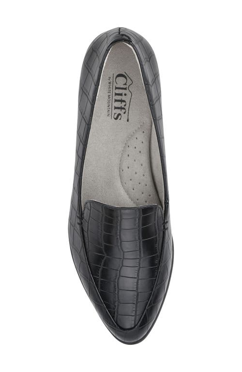 Cliffs By White Mountain Mint Pointed Toe Loafer In Black/print