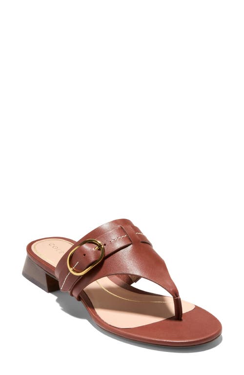 Cole Haan Gayle Flip Flop in Chocolate Leather 