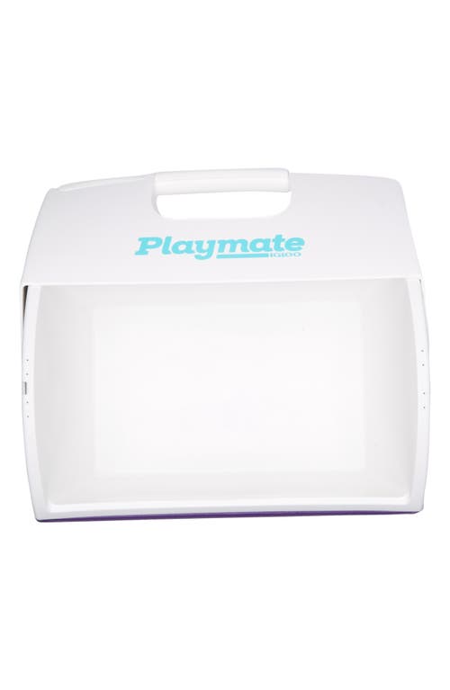 Shop Igloo Playmate 16-quart Cooler In Purple