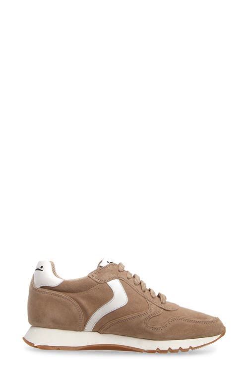 Shop Voile Blanche Julia Sneaker In Beige