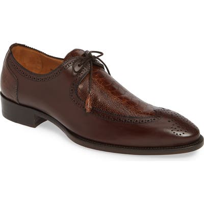 Mezlan Albano Wingtip, Brown