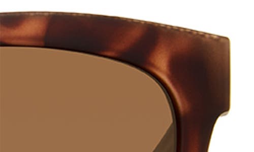 Eddie Bauer 54mm Round Polarized Sunglasses In Tortoise/brown
