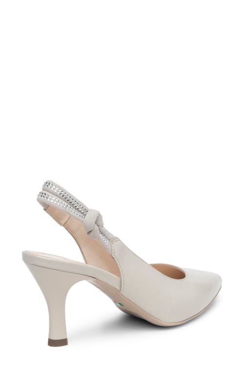 Shop Nerogiardini Pointed Toe Slingback Pump In Beige/khaki