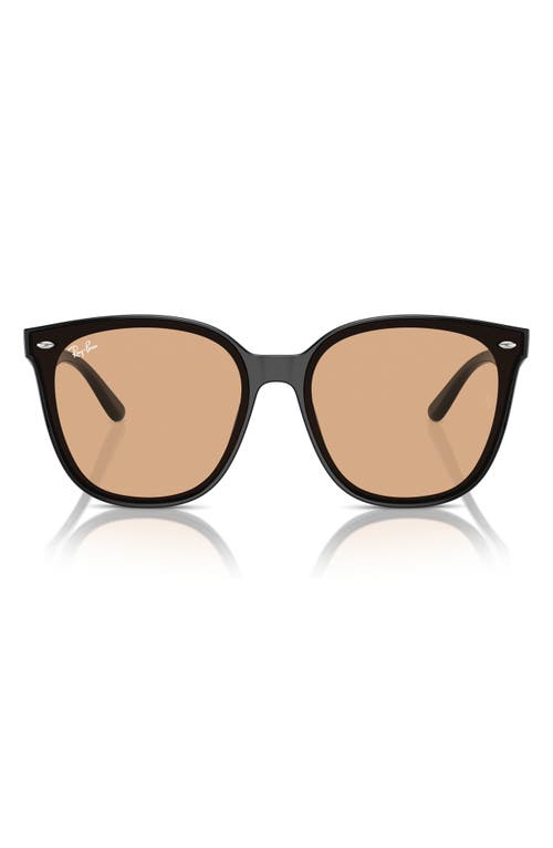 Ray Ban 66mm Oversize Irregular Sunglasses In Black/brown