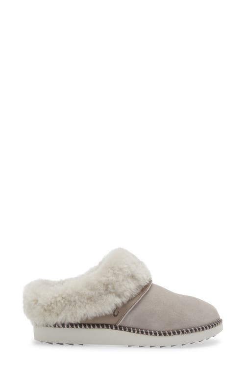 Shop Olukai Genuine Shearling Slipper In Fog/mist Grey